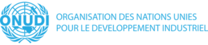 ct_partenaires_onudi-300x65
